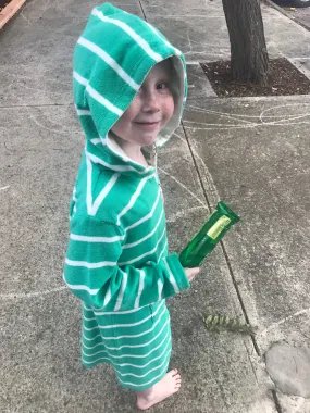 Kids Sea Green Stripe Choodie