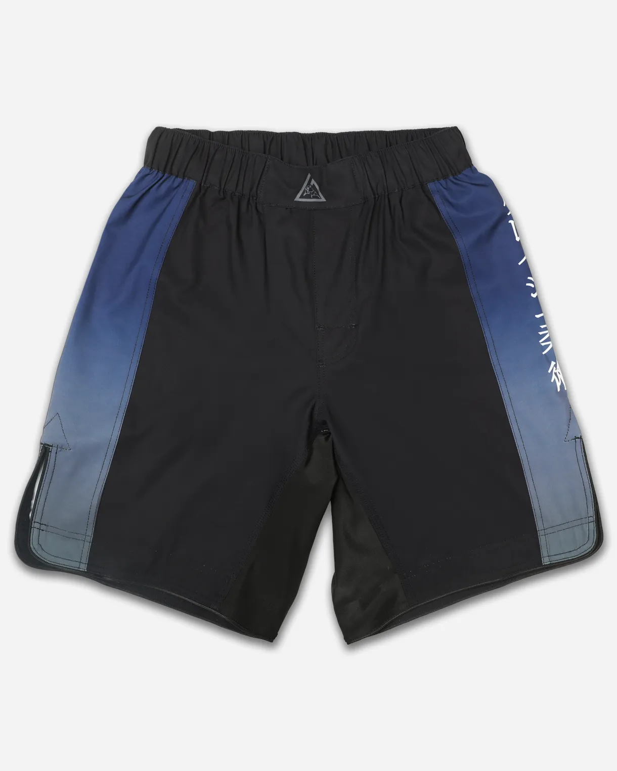 Midnight Wave Fight Shorts (Men)