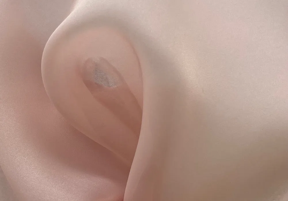 Sheer Sea Shell Pink Crisp Polyester Organza